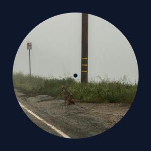 91无码粉嫩小泬无套在线哈尔滨
